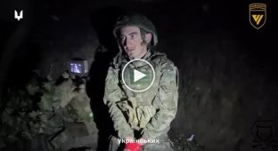 ССО уничтожили разведгруппу РФ около границы: один рашист взят в плен