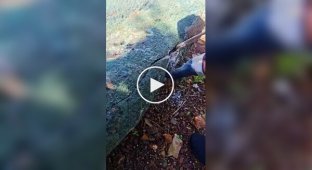 Кладоискателям улыбнулась удача