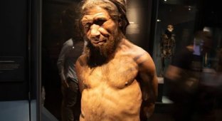 Scientists Revealed What Neanderthal Penises Looked Like and What Sex Was Like with Representatives of the Ancient Species (5 photos)