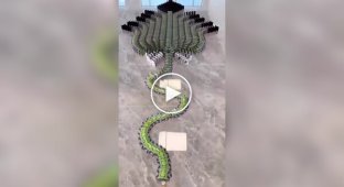 Залипательное видео