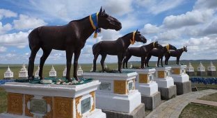 Как в Монголии хоронят высокопоставленных лошадей (7 фото)
