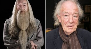 Actor Michael Gambon, who played Dumbledore in the Harry Potter film, has died: the last shots (8 photos)