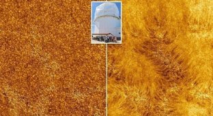 Телескоп «Иноуэ» запечатлел хромосферу Солнца в рекордном качестве (6 фото)