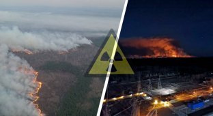Пожары в Чернобыле, загрязненный Киев: Ждать ли экологическую катастрофу? (12 фото)