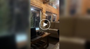 A guy rented a house in the Canadian forest and here's what happened