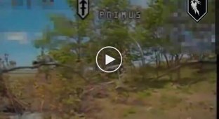 Забава росіян-окупантів, ховатися за деревом від дрону