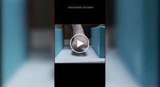 Искусство обувщика: как создают индивидуальную обувь