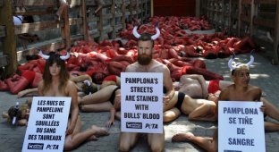 Голый протест против корриды в Испании (20 фото)