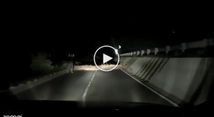 Умение ездить задним ходом может спасти жизнь