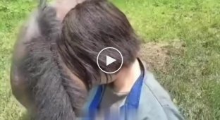 Кінь який не такий милий як може здатися