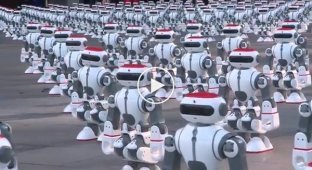 В Китае толпа танцующих роботов установила новый мировой рекорд
