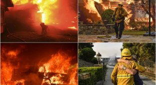 Масштабные пожары в Калифорнии (23 фото)