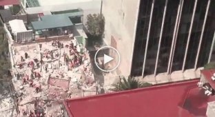 Более 200 человек погибло в результате землетрясения в Мексике
