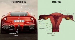 Корма новой Ferrari 612 Berlinetta похожа на женские органы?! (3 фото)