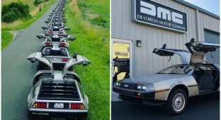 Автомобиль эпохи: легендарные и нестареющие DeLorean DMC-12 (31 фото)