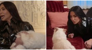 Kim Kardashian planned to appear at the Met Gala with Lagerfeld's cat, but the fluffy one had other plans (2 photos + 1 video)