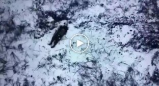 Украинский дрон сбрасывает ВОГи на российских военных в районе Бахмута