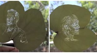 Художница превращает обычные листья в произведения искусства (5 фото + 1 видео)