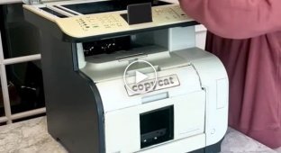 A new miracle invention - a cat printer