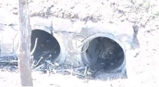 Бойцы подразделения BULAVA с помощью дрона-камикадзе Дикие шершни ликвидировали восьмерых оккупантов, спрятавшихся в канализационной трубе