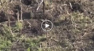 Расширенное видео иностранного волонтера Райана О Лири, бросающего гранату в кратер, в результате чего погибли два россиянина