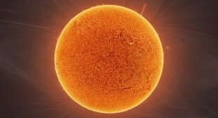Дует астрофотографів представив 140-мегапіксельну фотографію Сонця (4 фото + 1 відео)