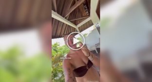 A monkey stole a phone from a gaping tourist