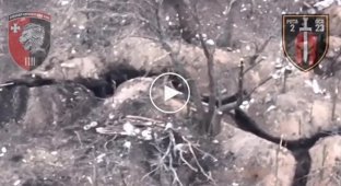 Наземный дрон расставляет противотанковые мины вплотную к окопам с оккупантами
