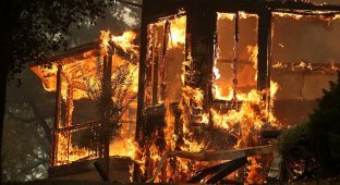 Лесные пожары в Калифорнии (11 фото + 2 видео)