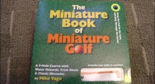 Карманный гольф (4 фото)