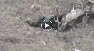 Поранений російський окупант застрелився з автомата на полі бою