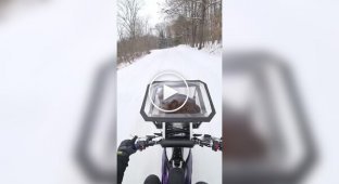 The biker showed off his winter walk with his cat, and it’s great