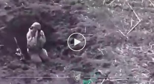 Бойцы 79-й ОДШБр сняли разбросанные тела нескольких штурмовых групп россиян на Новопавловском направлении
