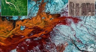 Google Earth поделился новыми снимками прекрасной планеты (21 фото)