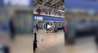 В магазине муж опрокинул тележку с продуктами, так как решил, что жена купила слишком много