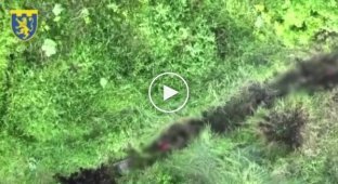 Ukrainian drone drops VOGs and grenades on Russian infantry in the Luhansk region