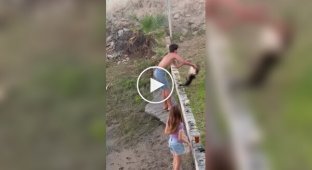 Самооборона сома