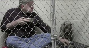 Ветеринар їв в одному вольєрі з собакою, щоб врятувати їй життя (6 фото + 1 відео)