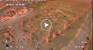 Operators of the BULAVA unit destroyed an occupying tank using Wild Hornets drones