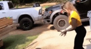 Cool gifs. Issue 2734 (150 gifs)