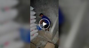 Pasta factory in India