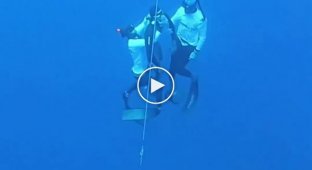 Record-breaking freediver Miguel Lozano collapses at 125 meters