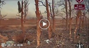 Ukrainian drone of the 80th Air Assault Brigade destroys a potential Russian weapon