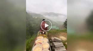 A man quit his job at the bank and went to the village to raise chickens