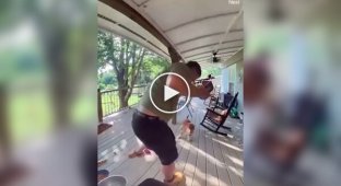 Раптовий напад білки