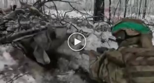 Clearing Russian positions in the Kremensky forest from the first person of a Ukrainian military man