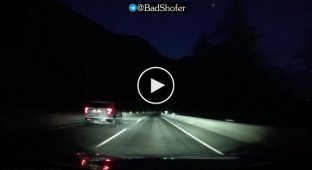 Surprise on the road