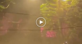 Протестующие на Шри-Ланке подожгли дом премьер-министра страны
