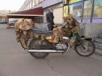 Меховой мотоцикл (3 фото)