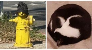 17 примеров того, как наш мозг оживляет неживое (18 фото)